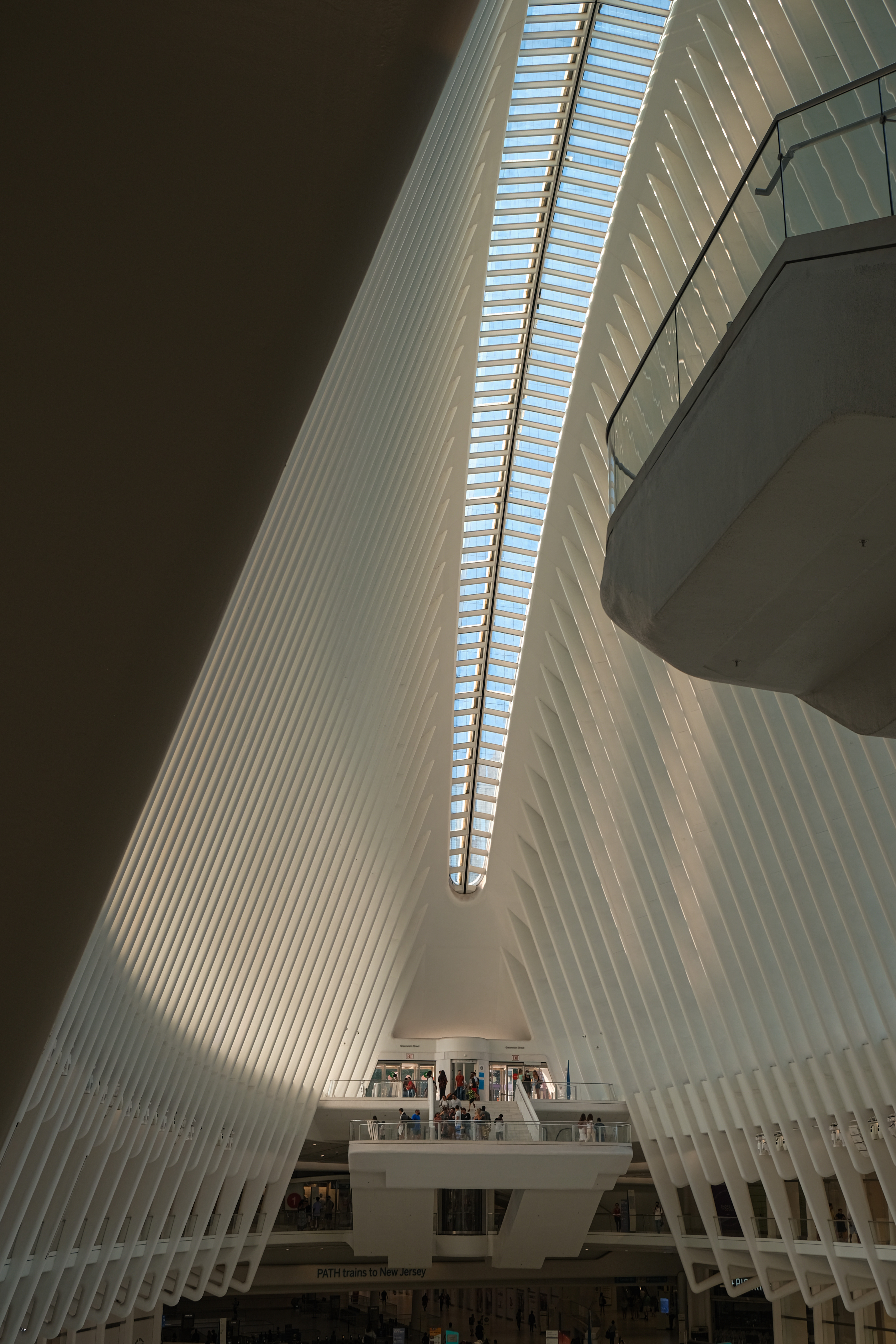 Oculus